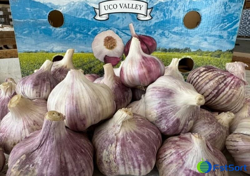 images/1735632131080Ajo argentino.jpg